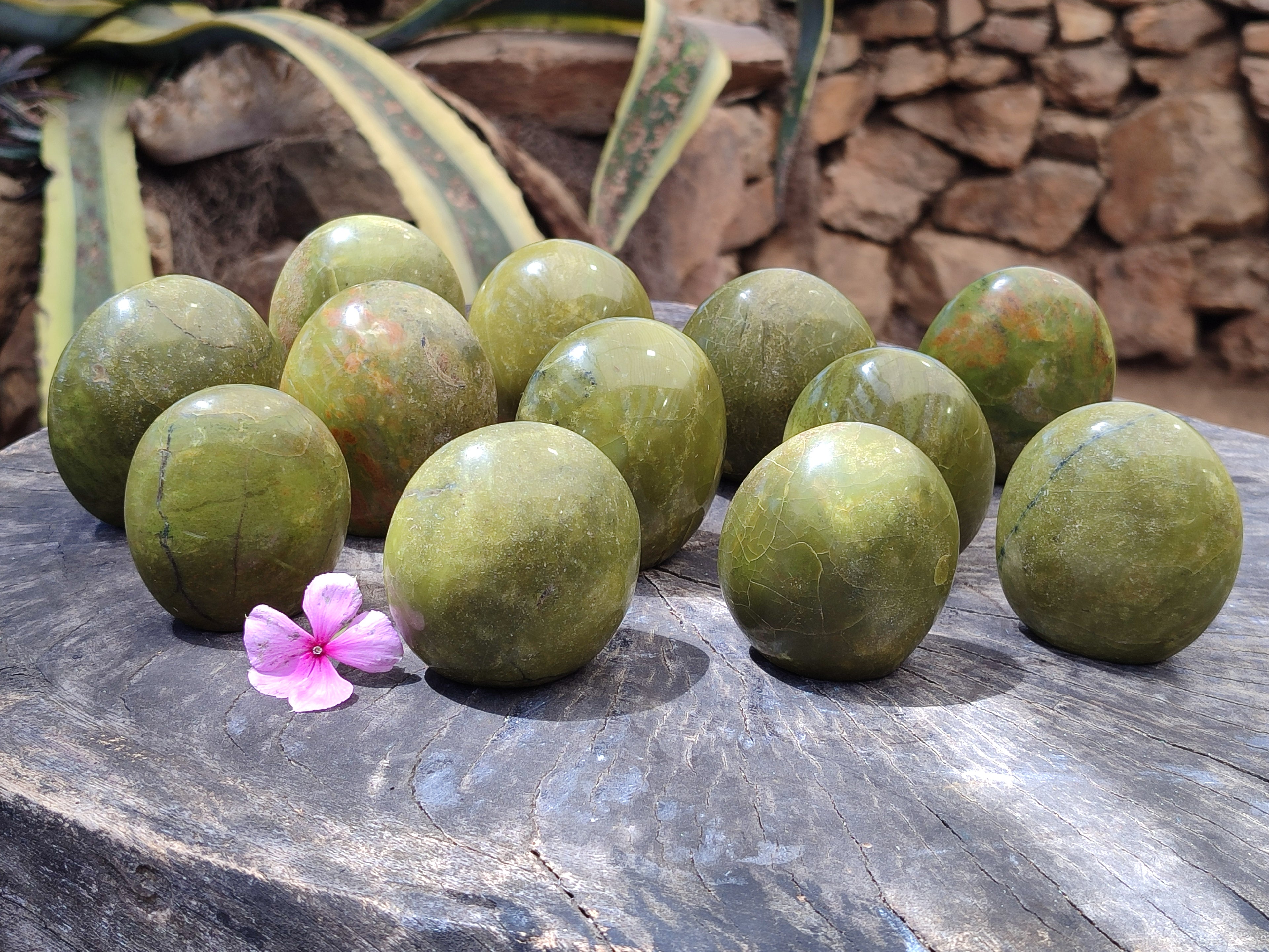 Polished Green Opal Palm Stones x 12 From Antsirabe, Madagascar - Toprock Gemstones and Minerals 