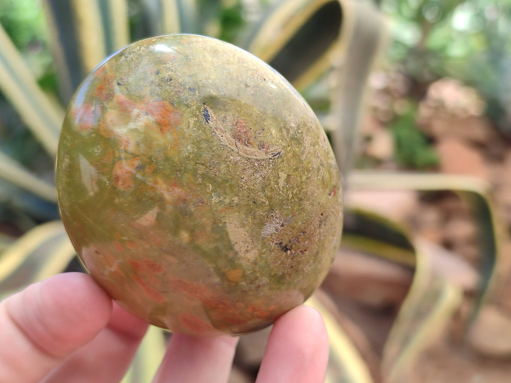 Polished Green Opal Palm Stones x 12 From Antsirabe, Madagascar - Toprock Gemstones and Minerals 