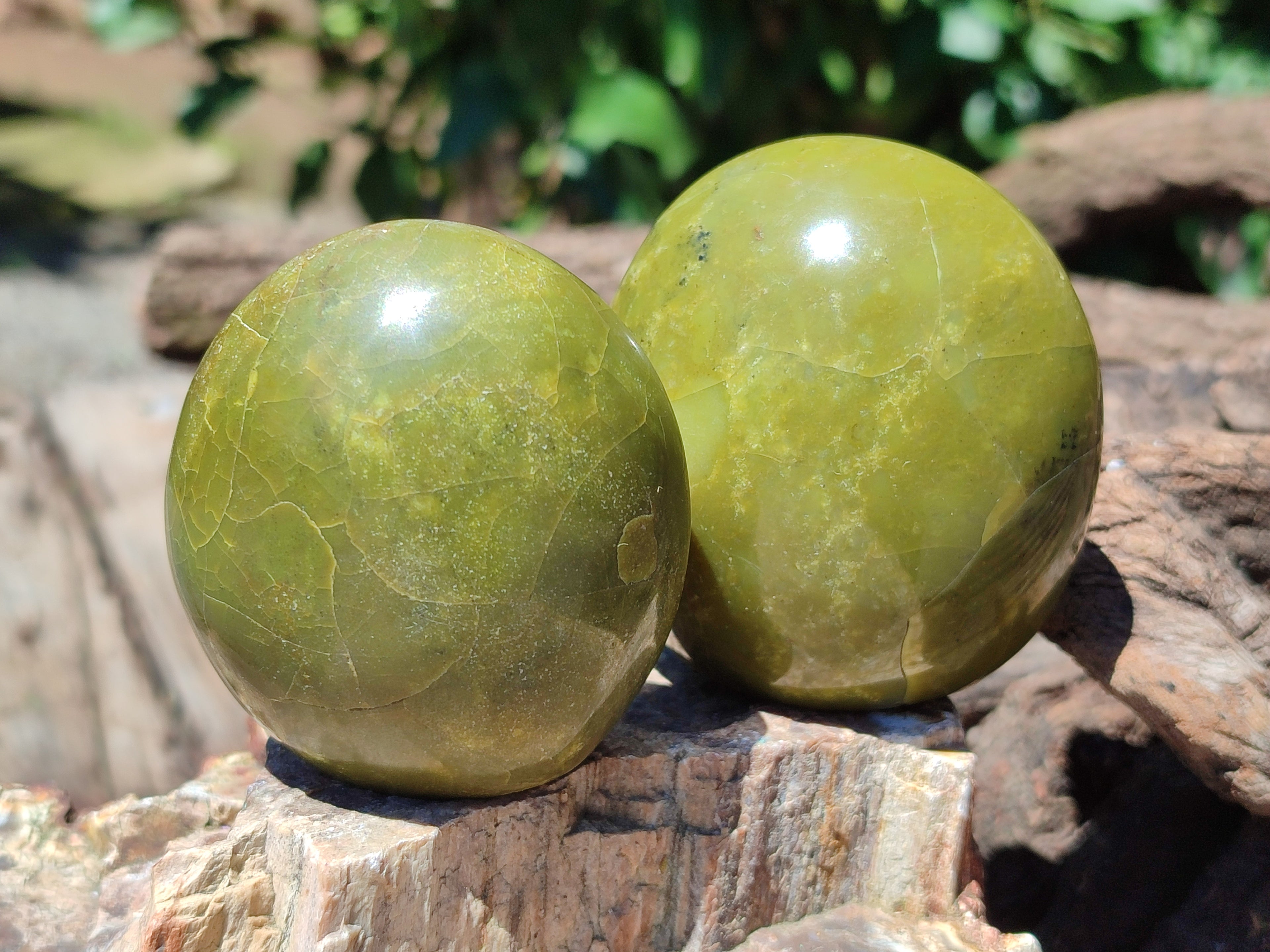 Polished Green Opal Palm Stones x 12 From Antsirabe, Madagascar - Toprock Gemstones and Minerals 