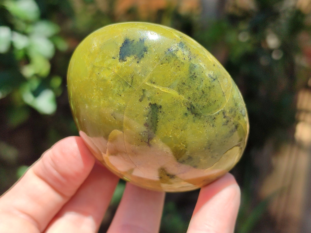 Polished Green Opal Palm Stones x 12 From Antsirabe, Madagascar - Toprock Gemstones and Minerals 