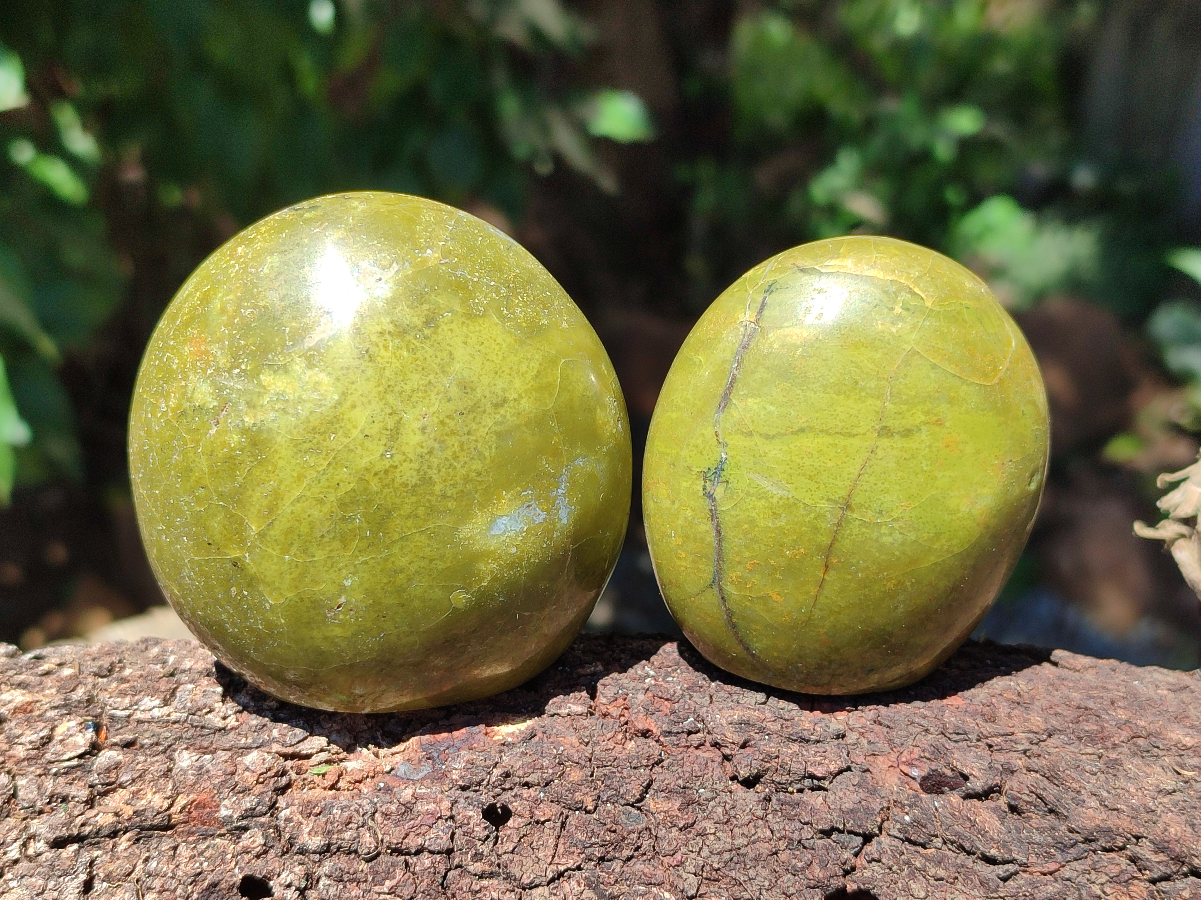 Polished Green Opal Palm Stones x 12 From Antsirabe, Madagascar - Toprock Gemstones and Minerals 