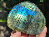 Polished Labradorite Standing Free Forms x 3 From Tulear, Madagascar