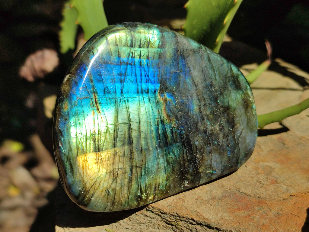 Polished Labradorite Standing Free Forms x 3 From Tulear, Madagascar - Toprock Gemstones and Minerals 