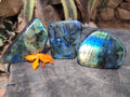 Polished Labradorite Standing Free Forms x 3 From Tulear, Madagascar - Toprock Gemstones and Minerals 
