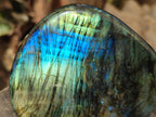 Polished Labradorite Standing Free Forms x 3 From Tulear, Madagascar - Toprock Gemstones and Minerals 