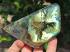 Polished Labradorite Standing Free Forms x 3 From Tulear, Madagascar - Toprock Gemstones and Minerals 