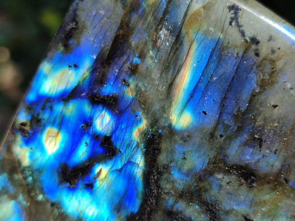 Polished Labradorite Standing Free Forms x 3 From Tulear, Madagascar - Toprock Gemstones and Minerals 