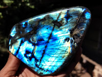 Polished Labradorite Standing Free Forms x 3 From Tulear, Madagascar - Toprock Gemstones and Minerals 