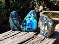 Polished Labradorite Standing Free Forms x 3 From Tulear, Madagascar - Toprock Gemstones and Minerals 