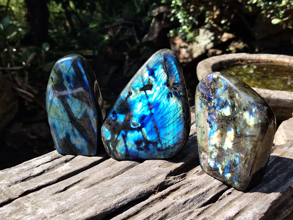 Polished Labradorite Standing Free Forms x 3 From Tulear, Madagascar - Toprock Gemstones and Minerals 