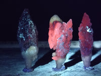 Natural Drusy Quartz Coated Calcite Pseudomorph Specimens x 12 From Lesotho - Toprock Gemstones and Minerals 