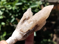 Natural Drusy Quartz Coated Calcite Pseudomorph Specimens x 12 From Lesotho - Toprock Gemstones and Minerals 