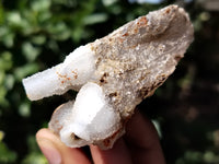 Natural Drusy Quartz Coated Calcite Pseudomorph Specimens x 12 From Lesotho - Toprock Gemstones and Minerals 