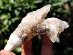 Natural Drusy Quartz Coated Calcite Pseudomorph Specimens x 12 From Lesotho - Toprock Gemstones and Minerals 