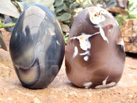 Polished Mix Of Selected Agate Standing Free Forms x 4 From Madagascar - Toprock Gemstones and Minerals 