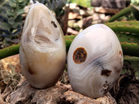 Polished Mix Of Selected Agate Standing Free Forms x 4 From Madagascar - Toprock Gemstones and Minerals 