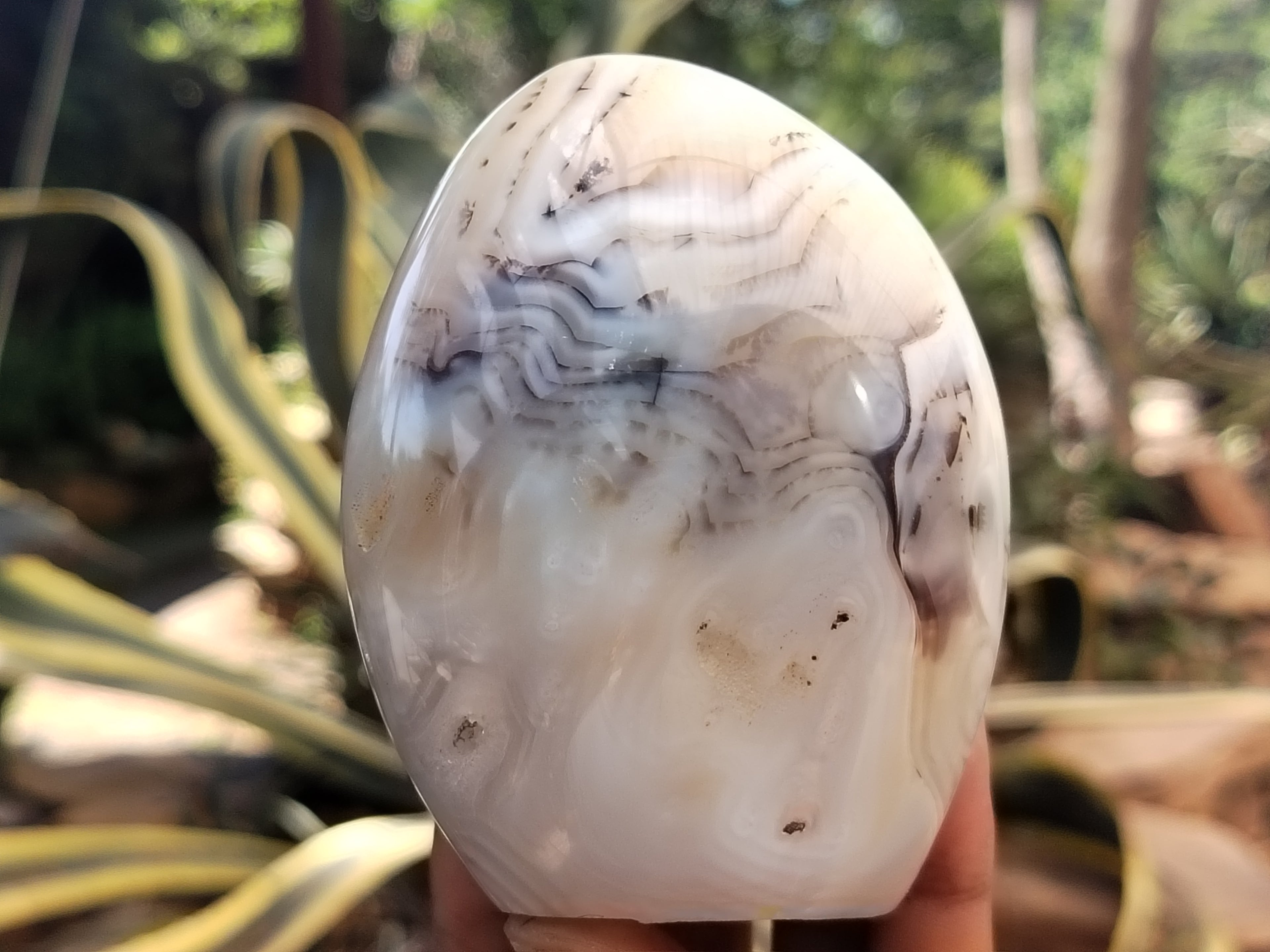 Polished Mix Of Selected Agate Standing Free Forms x 4 From Madagascar - Toprock Gemstones and Minerals 