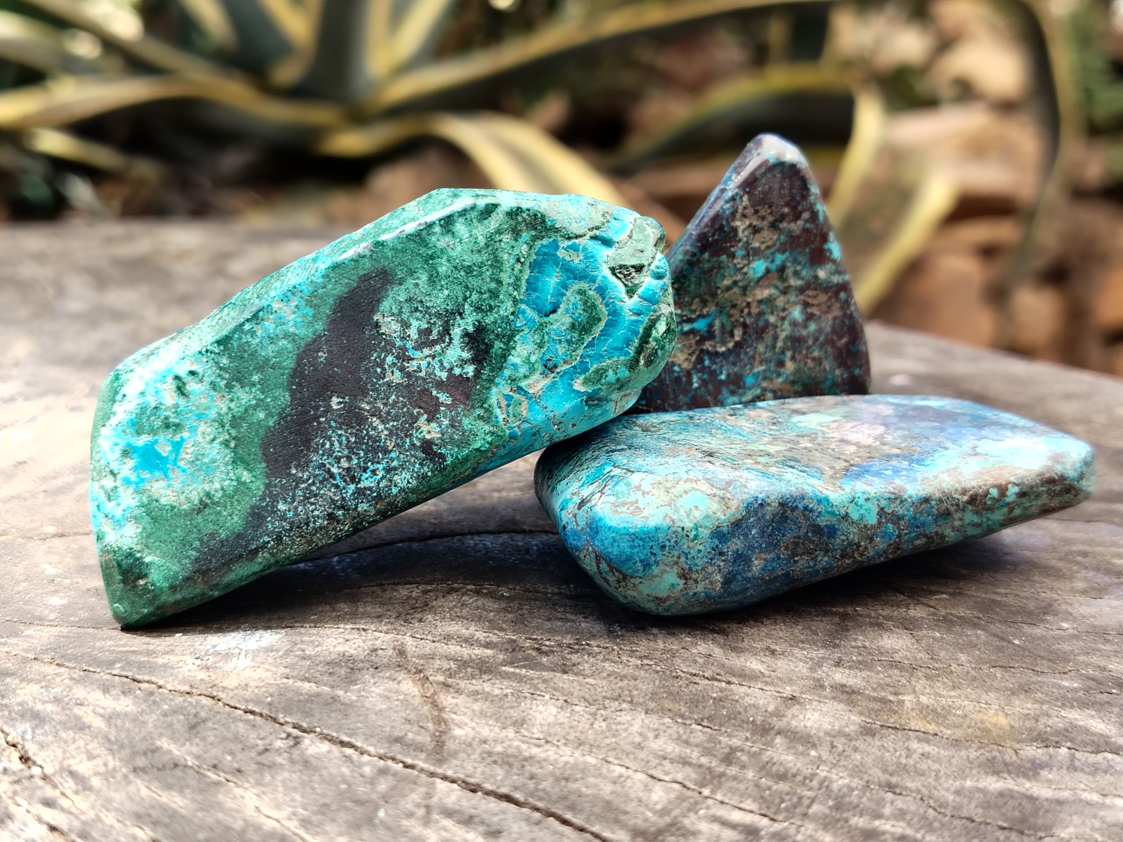 Polished Shattuckite with Azurite and Chrysocolla Free Forms x 12 From Congo - Toprock Gemstones and Minerals 