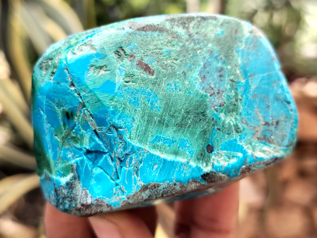 Polished Shattuckite with Azurite and Chrysocolla Free Forms x 12 From Congo - Toprock Gemstones and Minerals 