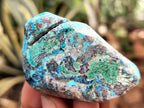 Polished Shattuckite with Azurite and Chrysocolla Free Forms x 12 From Congo - Toprock Gemstones and Minerals 