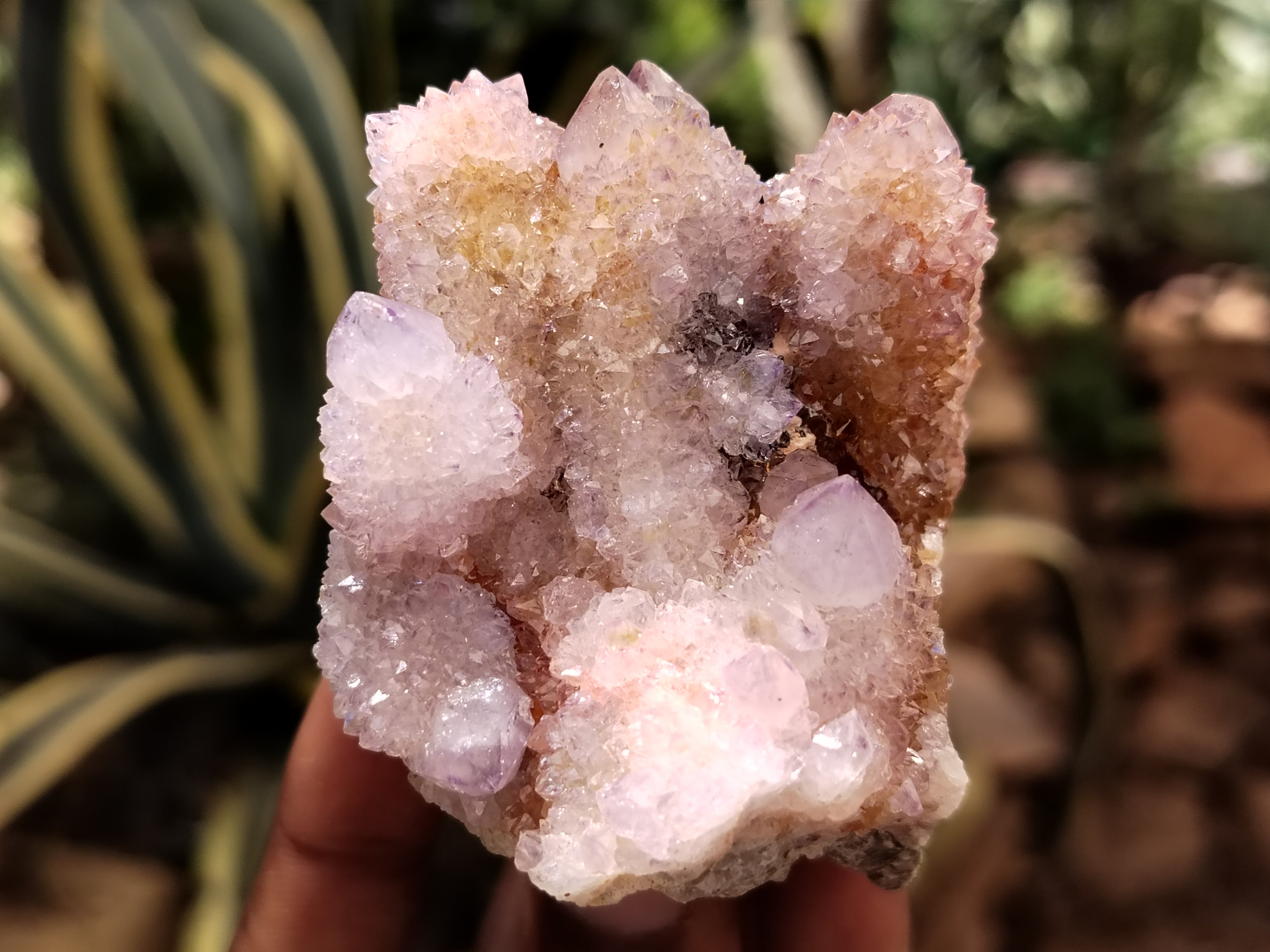 Natural Ametrine and Amethyst Spirit Quartz Clusters x 12 From South Africa - Toprock Gemstones and Minerals 