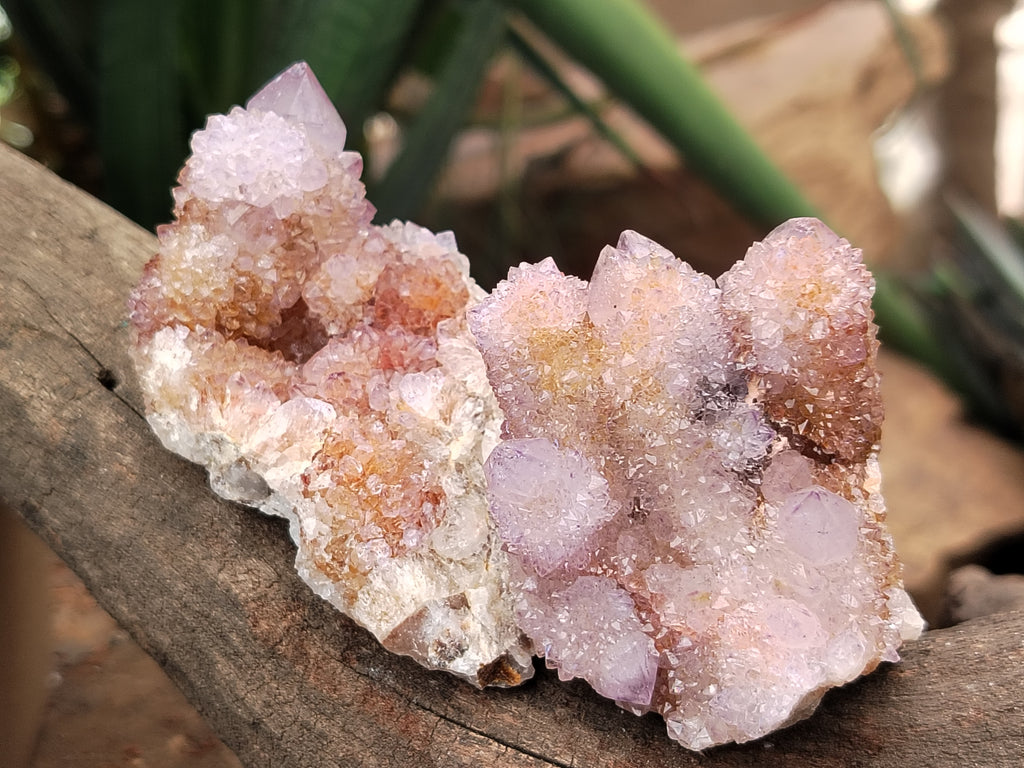 Natural Ametrine and Amethyst Spirit Quartz Clusters x 12 From South Africa - Toprock Gemstones and Minerals 