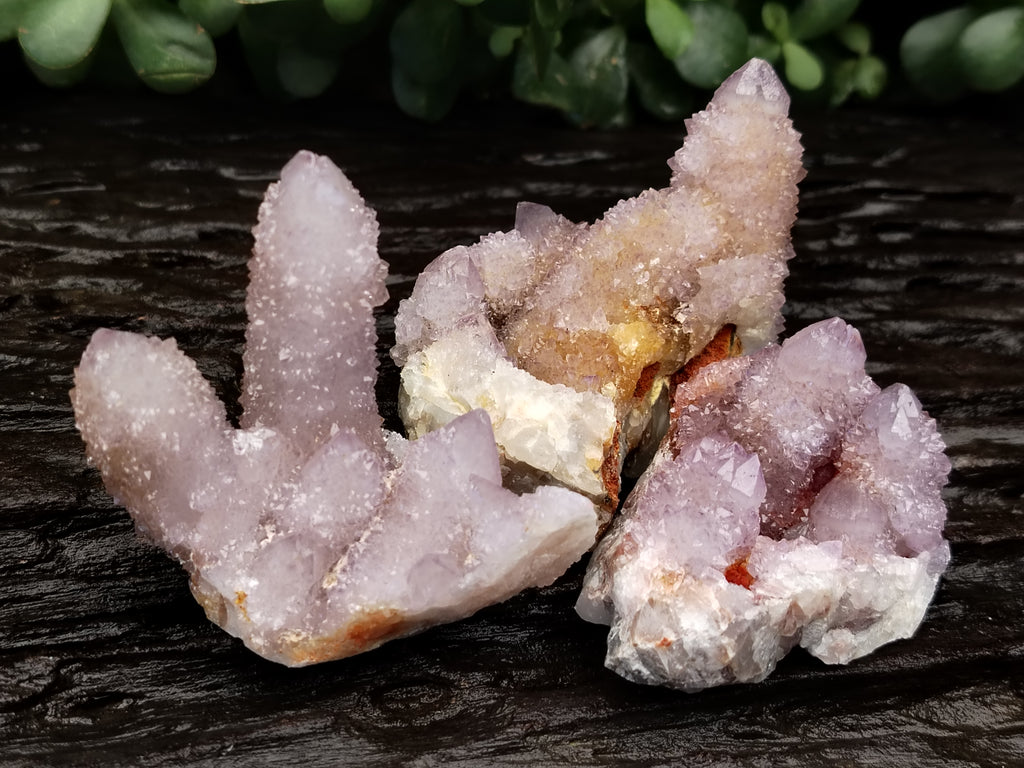 Natural Ametrine and Amethyst Spirit Quartz Clusters x 12 From South Africa - Toprock Gemstones and Minerals 