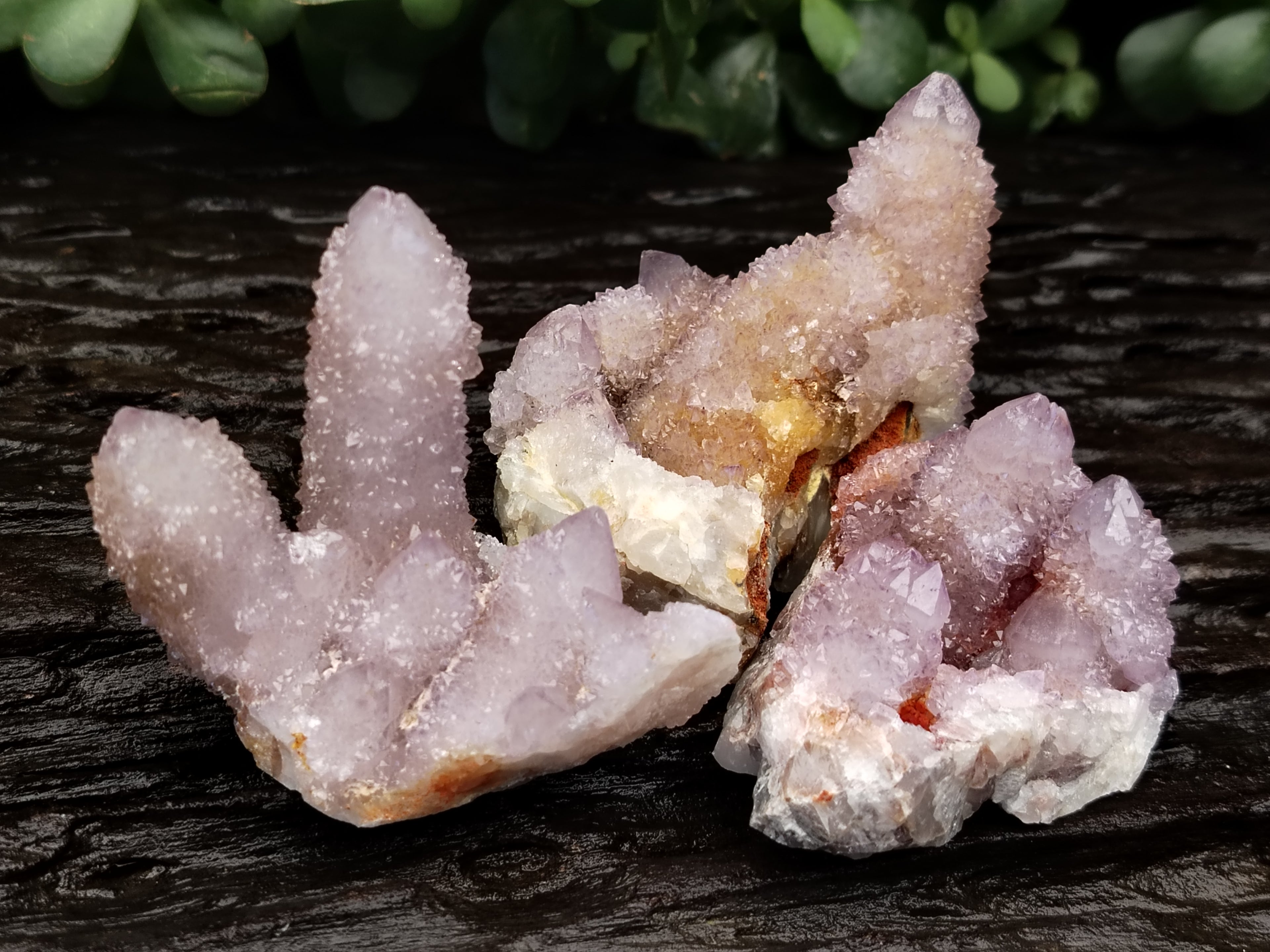 Natural Ametrine and Amethyst Spirit Quartz Clusters x 12 From South Africa - Toprock Gemstones and Minerals 