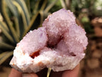 Natural Ametrine and Amethyst Spirit Quartz Clusters x 12 From South Africa - Toprock Gemstones and Minerals 