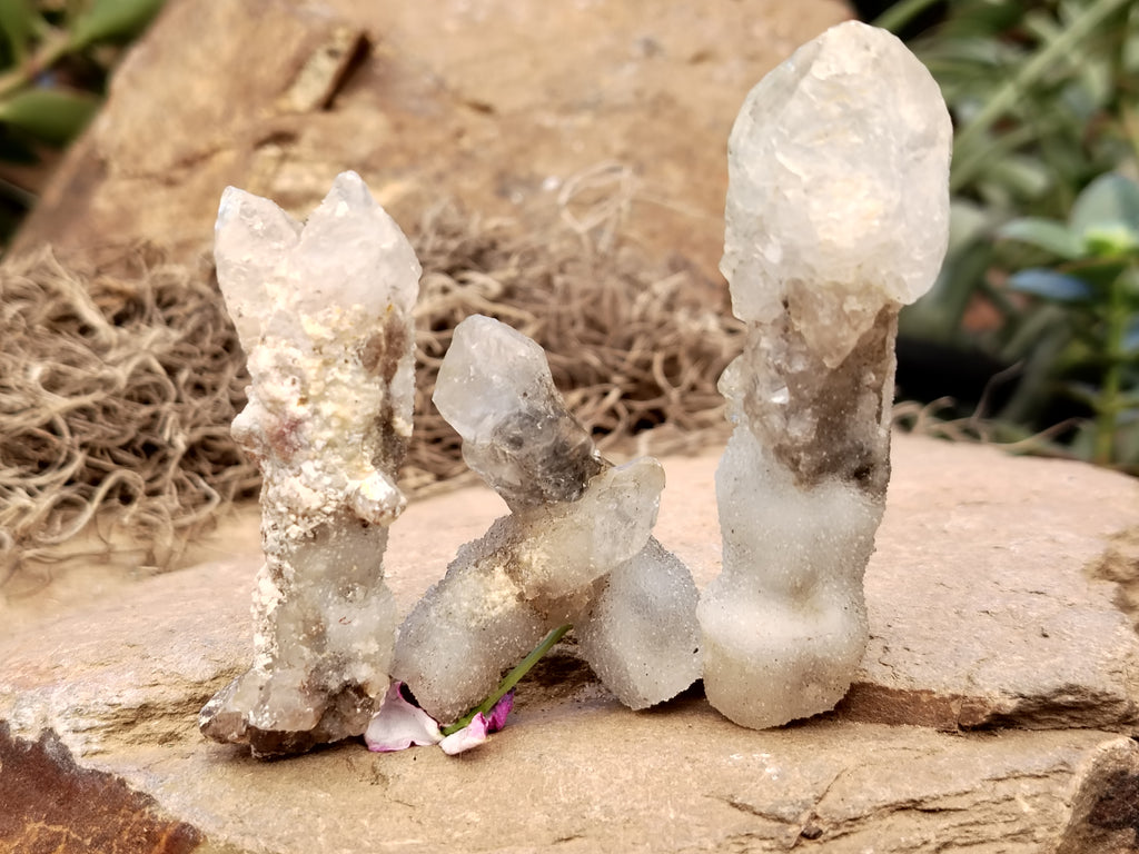 Natural Drusy Quartz Coated Calcite Pseudomorp Crystals x 20 From Lesotho - Toprock Gemstones and Minerals 