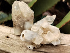 Natural Drusy Quartz Coated Calcite Pseudomorp Crystals x 20 From Lesotho - Toprock Gemstones and Minerals 
