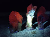 Natural Drusy Quartz Coated Calcite Pseudomorp Crystals x 20 From Lesotho - Toprock Gemstones and Minerals 