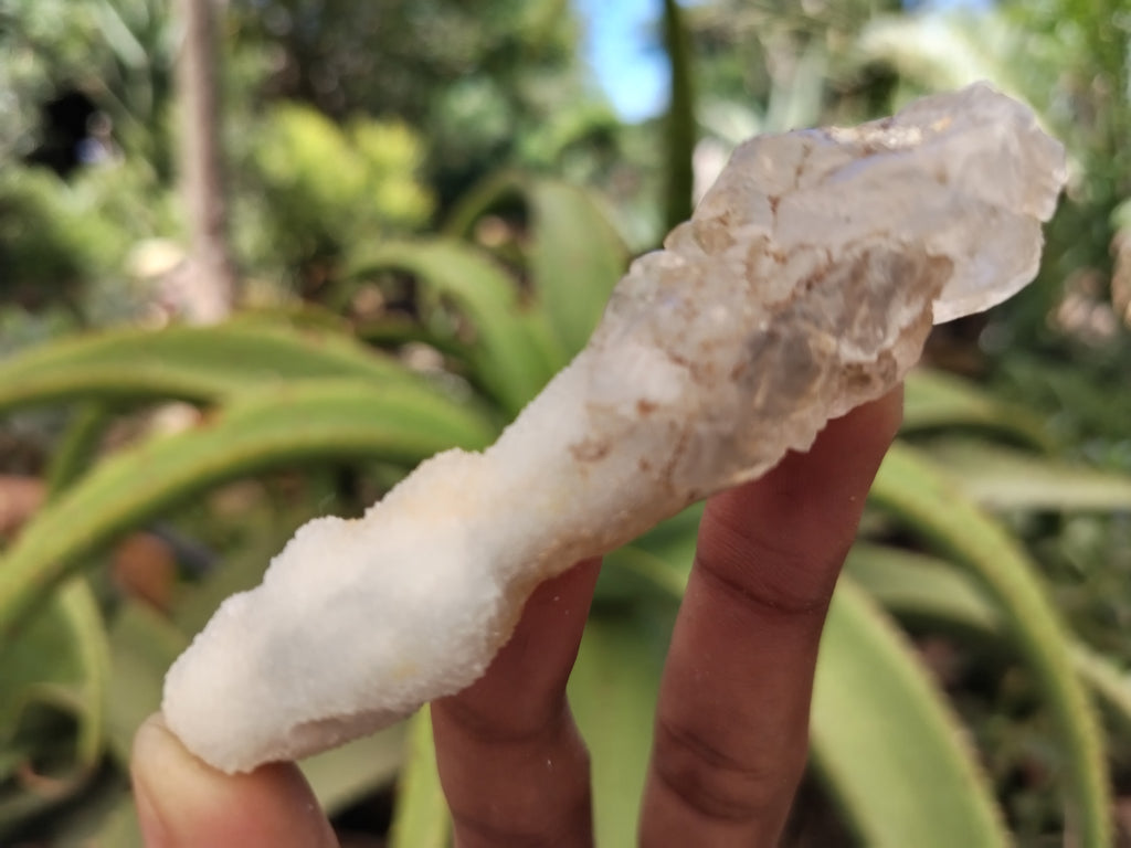 Natural Drusy Quartz Coated Calcite Pseudomorp Crystals x 20 From Lesotho - Toprock Gemstones and Minerals 