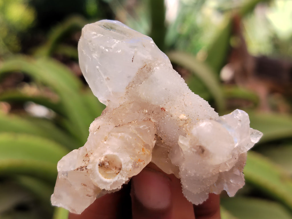 Natural Drusy Quartz Coated Calcite Pseudomorp Crystals x 20 From Lesotho - Toprock Gemstones and Minerals 