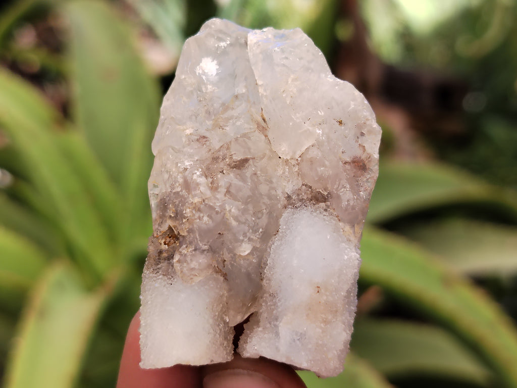 Natural Drusy Quartz Coated Calcite Pseudomorp Crystals x 20 From Lesotho - Toprock Gemstones and Minerals 