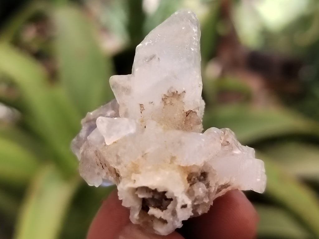 Natural Drusy Quartz Coated Calcite Pseudomorp Crystals x 20 From Lesotho - Toprock Gemstones and Minerals 