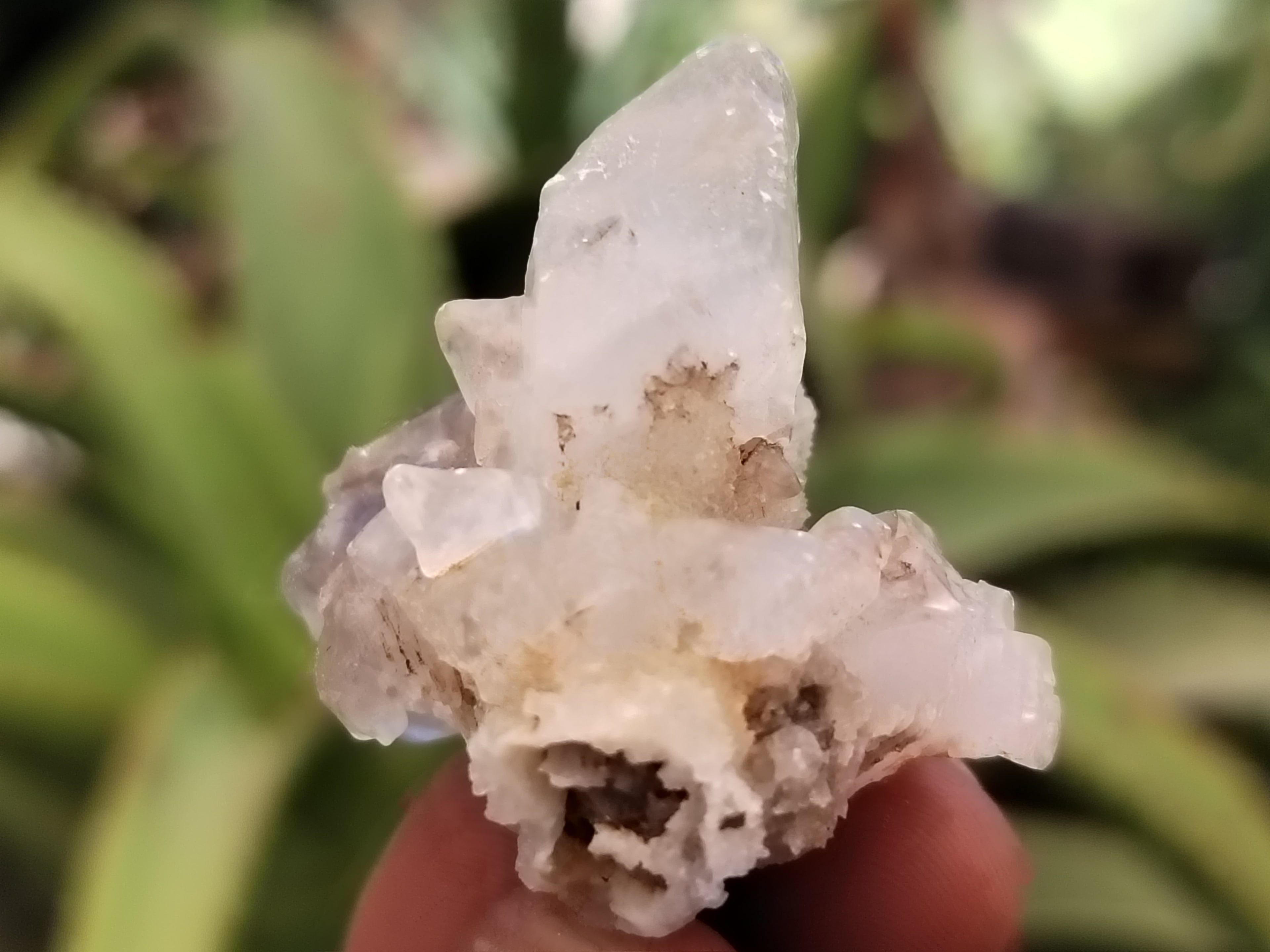 Natural Drusy Quartz Coated Calcite Pseudomorp Crystals x 20 From Lesotho - Toprock Gemstones and Minerals 