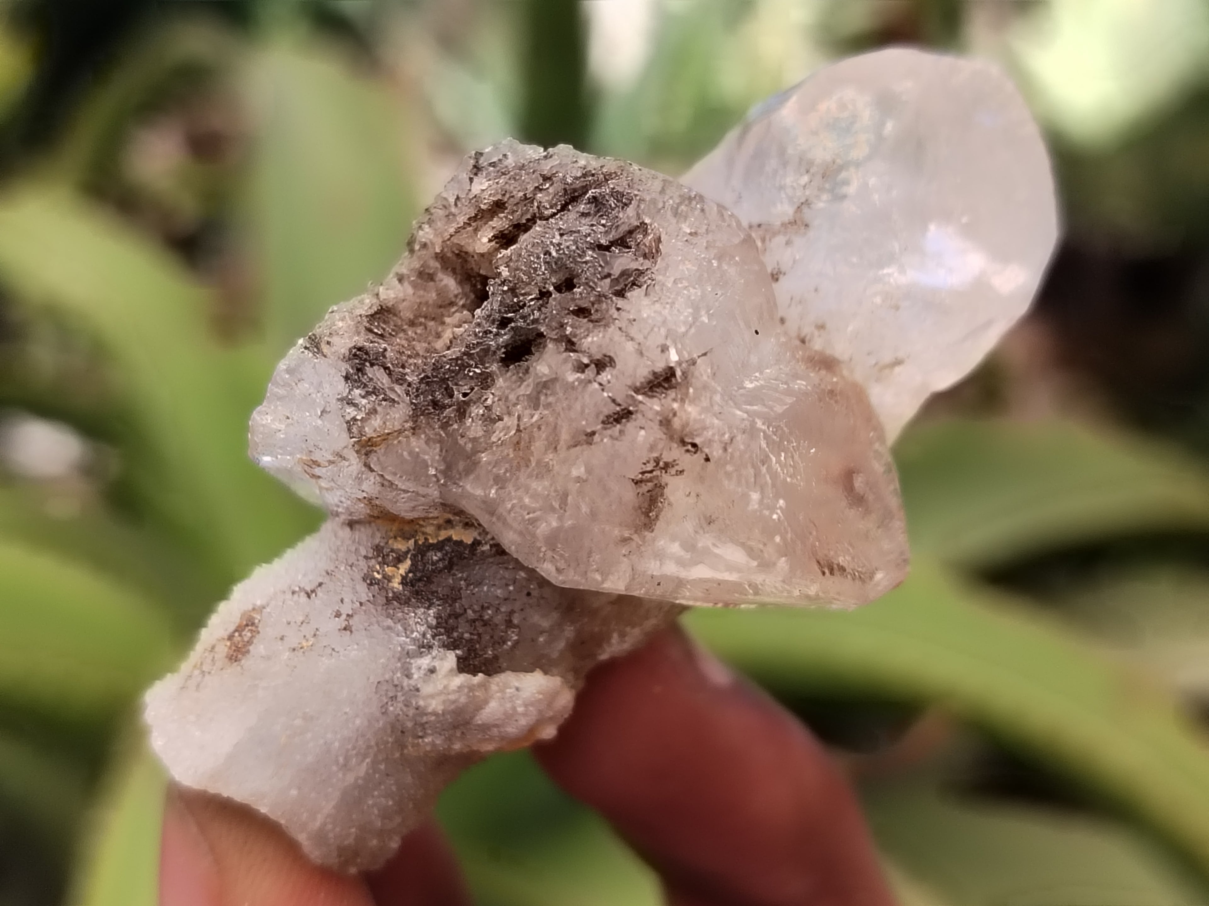 Natural Drusy Quartz Coated Calcite Pseudomorp Crystals x 20 From Lesotho - Toprock Gemstones and Minerals 
