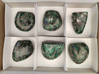 Polished Emerald Mica In Matrix Standing Free Forms x 6 From Mutoko, Zimbabwe - Toprock Gemstones and Minerals 