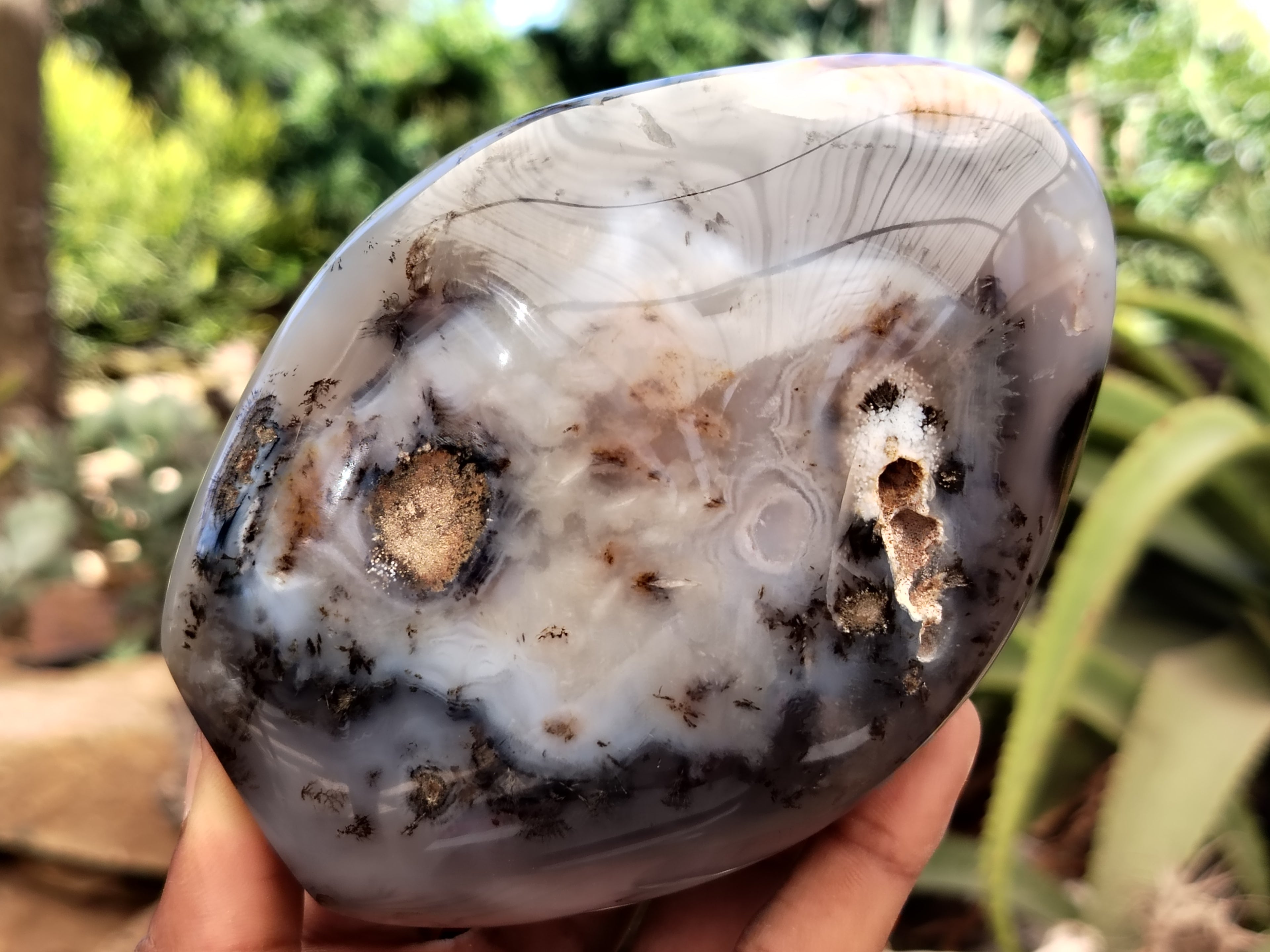 Polished Dendritic Agate Standing Free Forms x 2 From Madagascar - Toprock Gemstones and Minerals 