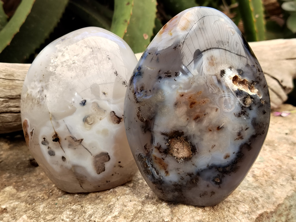 Polished Dendritic Agate Standing Free Forms x 2 From Madagascar - Toprock Gemstones and Minerals 