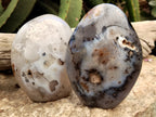 Polished Dendritic Agate Standing Free Forms x 2 From Madagascar - Toprock Gemstones and Minerals 