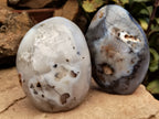 Polished Dendritic Agate Standing Free Forms x 2 From Madagascar - Toprock Gemstones and Minerals 