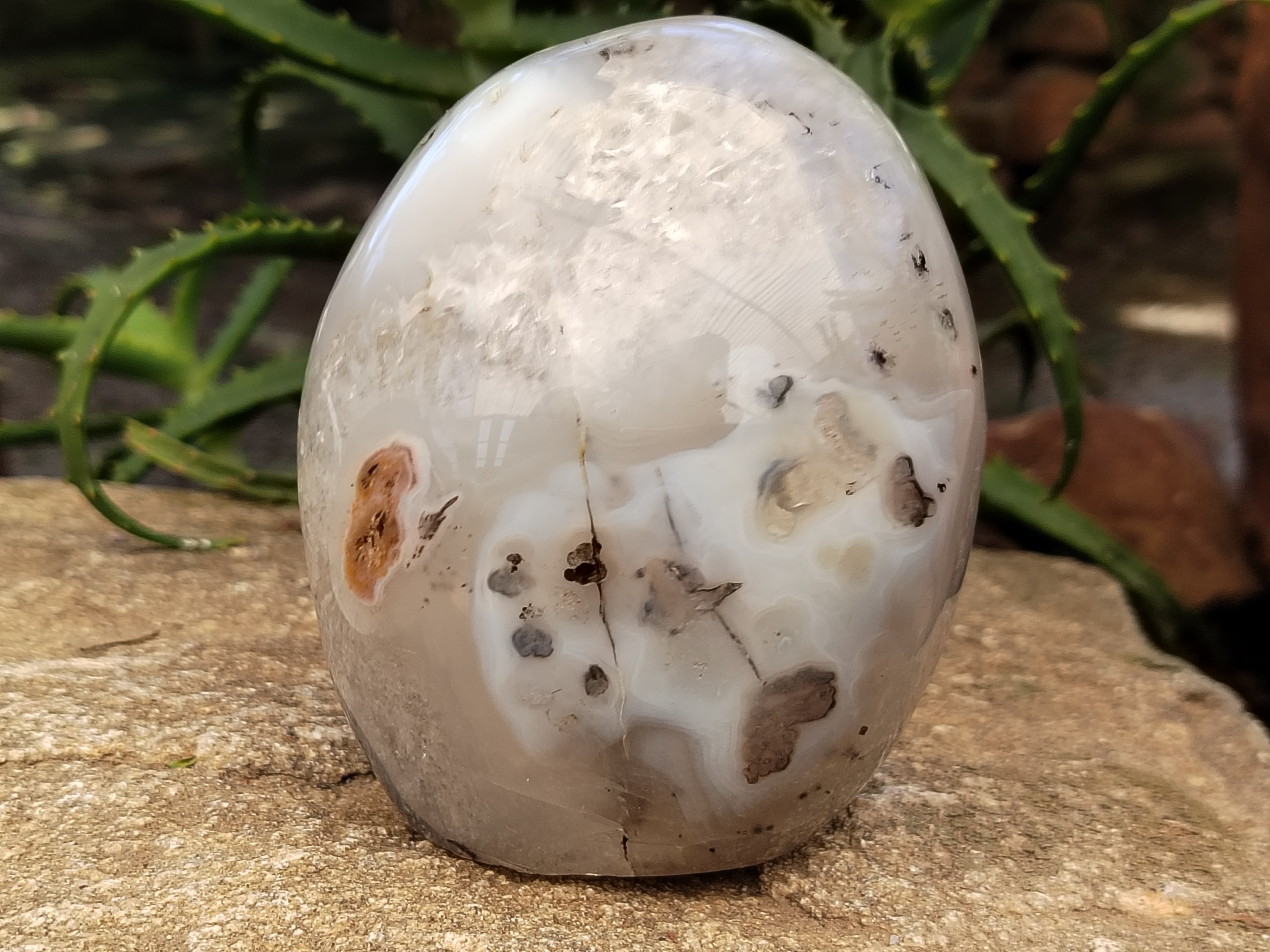 Polished Dendritic Agate Standing Free Forms x 2 From Madagascar - Toprock Gemstones and Minerals 