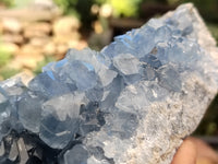 Natural Celestite Geode Specimens x 1 From Sakoany, Madagascar