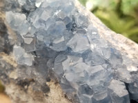 Natural Celestite Geode Specimens x 1 From Sakoany, Madagascar