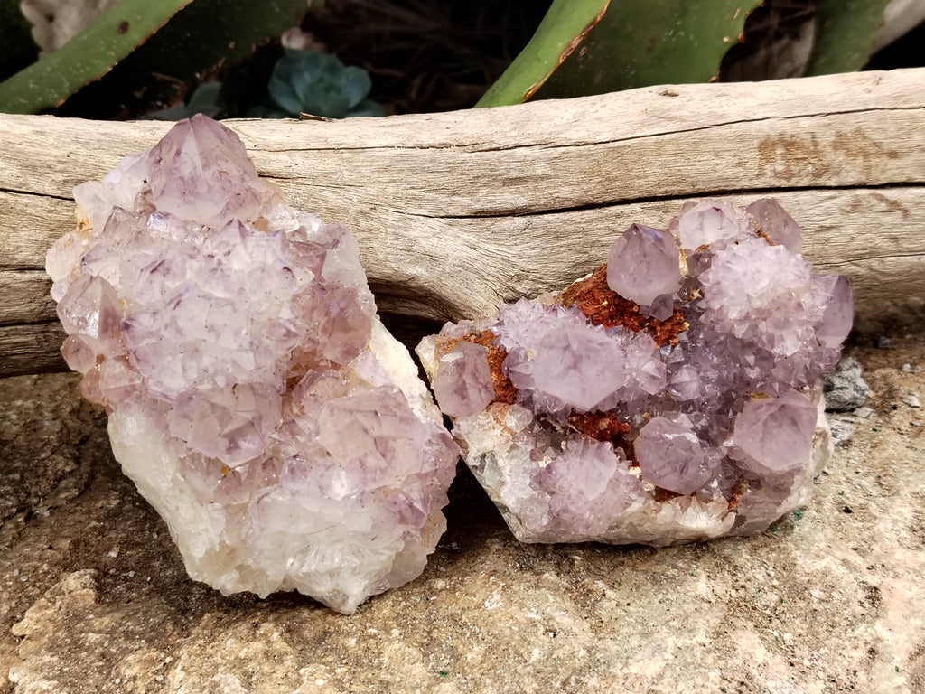 Natural Amethyst Spirit Quartz Clusters x 6 From Boekenhouthoek, South Africa - Toprock Gemstones and Minerals 