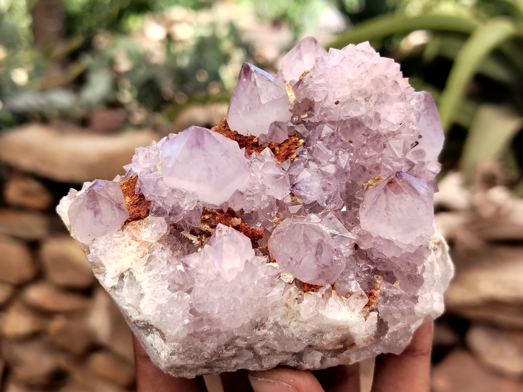 Natural Amethyst Spirit Quartz Clusters x 6 From Boekenhouthoek, South Africa - Toprock Gemstones and Minerals 