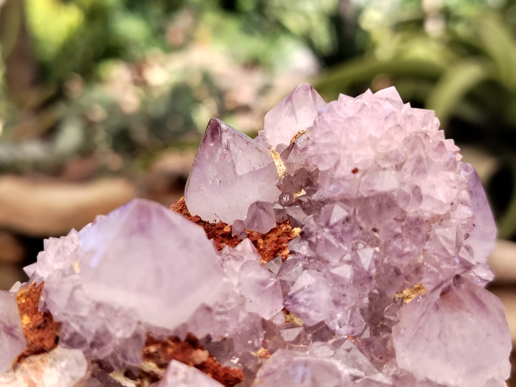 Natural Amethyst Spirit Quartz Clusters x 6 From Boekenhouthoek, South Africa - Toprock Gemstones and Minerals 