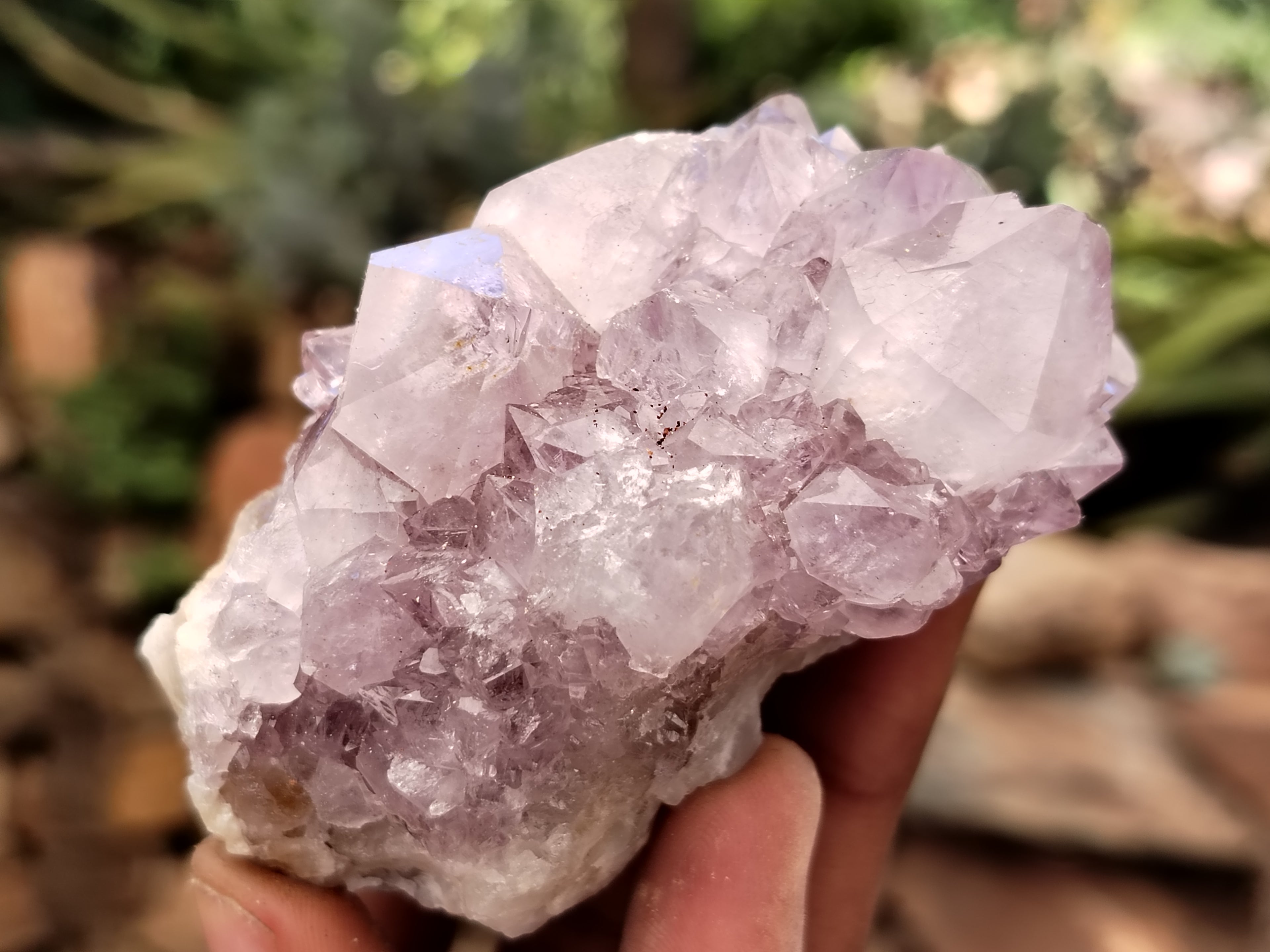 Natural Amethyst Spirit Quartz Clusters x 6 From Boekenhouthoek, South Africa - Toprock Gemstones and Minerals 